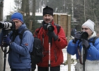 Bayrischer Wald 3