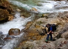 Tolmin