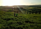 Toscana 10