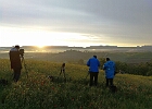 Toscana 6