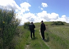 Toscana 8