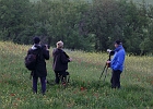 Toscana 9