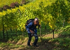 Weinstrasse 2