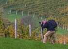 Weinstrasse 4