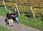 Weinstrasse 7