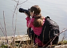 am Stausee
