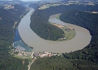 Donauschlinge