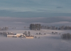 Im Nebel : JAHRESZEITEN, LÄNDER, MORGEN, NUßBACH, Nebel, STÄDTE UND ORTE, Sonnenaufgang, TAGESZEIT, WINTER, ÖSTERREICH